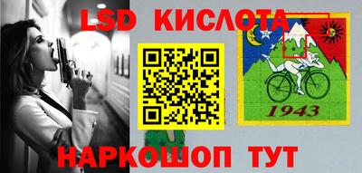 крисы Можга