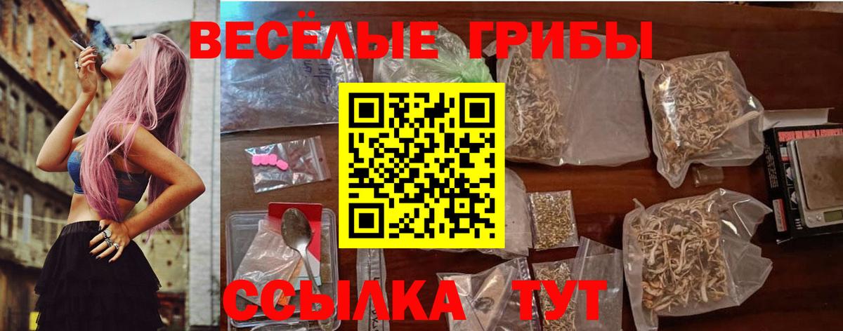 Галлюциногенные грибы мицелий Урюпинск